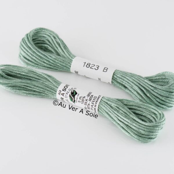 AVAS - Soie d'alger coloris 1823