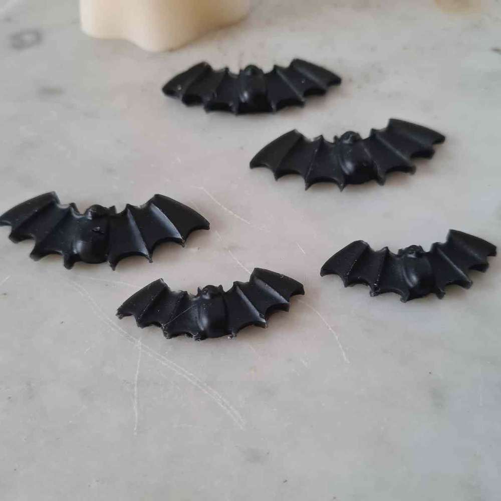 20241014_161353_ml LCF - Lot de Chauves souris – Image 1