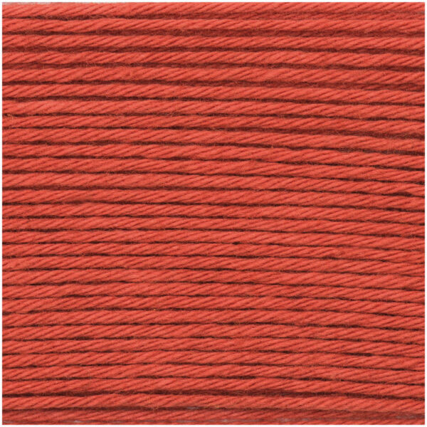 Rico Design - Laine Ricorumi coloris Renard 025