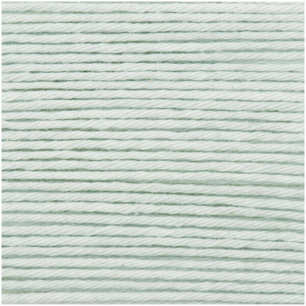Rico Design - Laine Ricorumi coloris Vert glacé 037