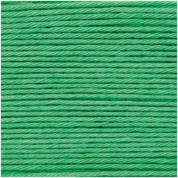 Rico Design - Laine Ricorumi coloris Vert herbe 044