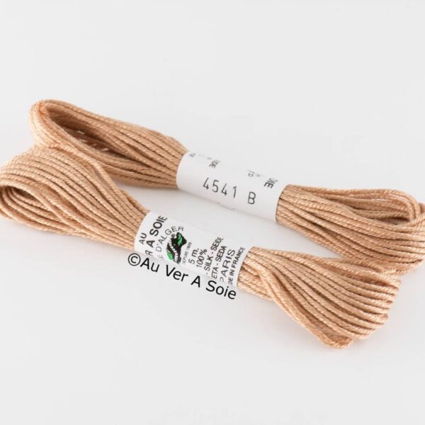 AVAS - Soie d'alger coloris 4541