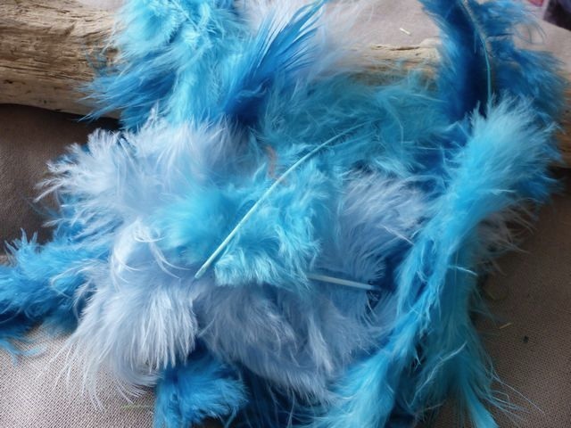 P1030794_ml KP - Plumes de Marabout 10 cm coloris Multicolore Bleu turquoise – Image 1