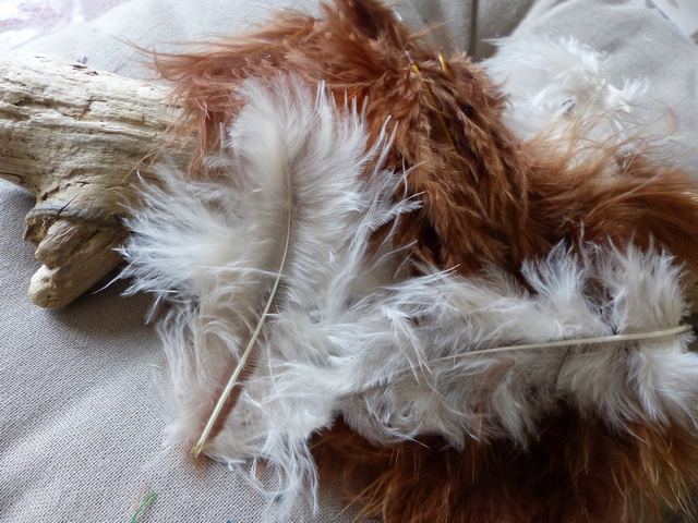 P1030800_ml KP - Plumes de Marabout 10 cm coloris Multicolore Marron – Image 1