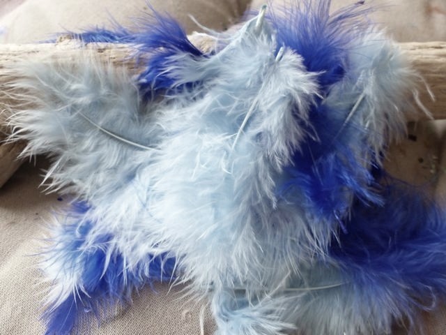P1030802_ml KP - Plumes de Marabout 10 cm coloris Multicolore Bleu – Image 1