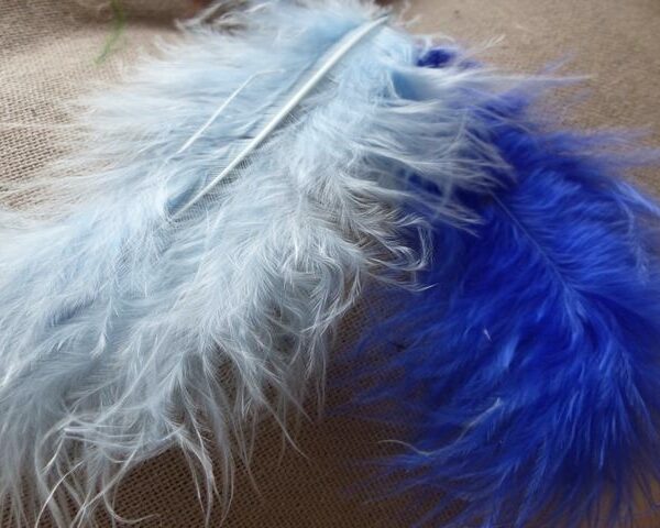 KP - Plumes de Marabout 10 cm coloris Multicolore Noir & Blanc