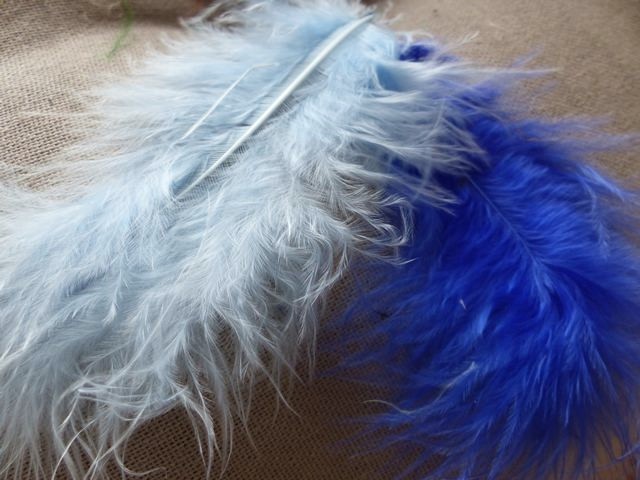 P1030803_ml KP - Plumes de Marabout 10 cm coloris Multicolore Noir & Blanc – Image 1