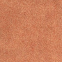 The Cinnamon Patch - Coloris Abricot Givré 101