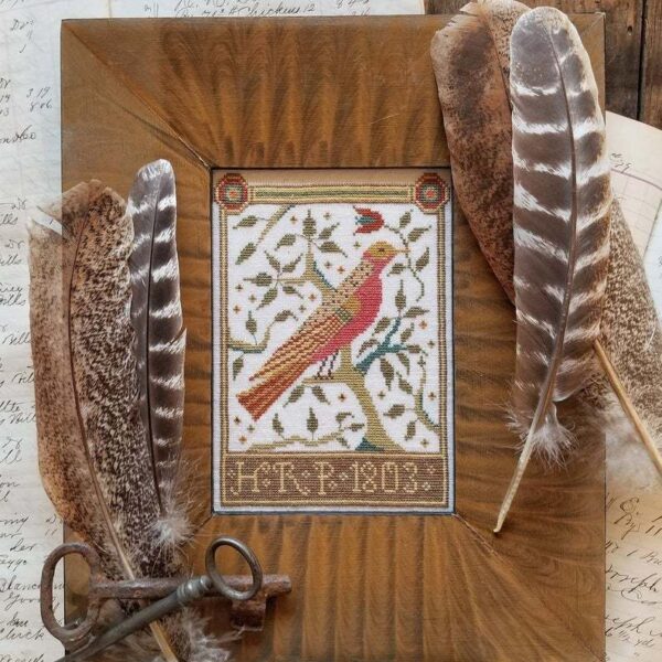 Hello -  A pennsylvania bird