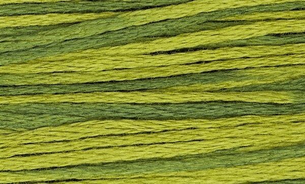 Weeks Dye Works - Moss (2201)