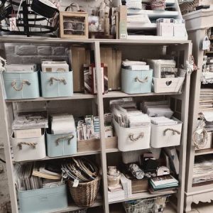 20230411_102638,Medium