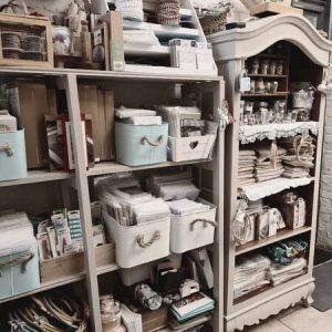 20230411_102645,Medium