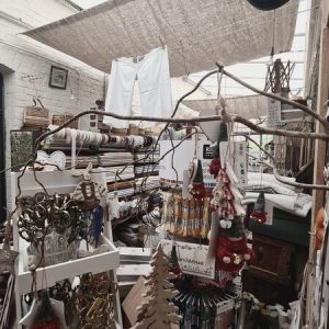 20230415_091235,Medium